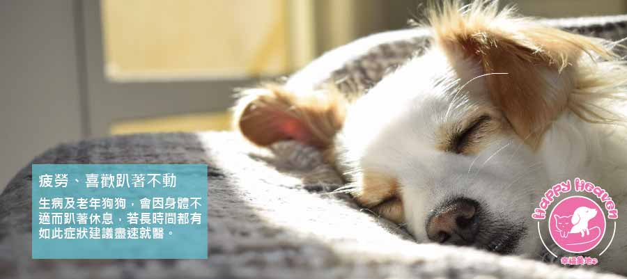 幸福美地目前全台灣唯一一間寵物合法的生命紀念園區,主要做寵物火化,希望己過世的寵物能到天堂去,得到安眠,在最後一哩路上也能夠得到尊重及禮儀,在他們壽命最後帶著滿滿的愛離開