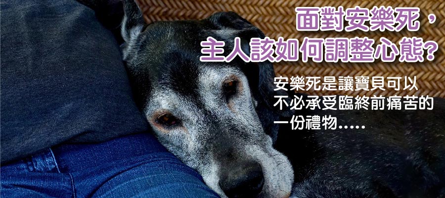 幸福美地目前全台灣唯一一間寵物合法的生命紀念園區,主要做寵物火化,希望己過世的寵物能到天堂去,得到安眠,在最後一哩路上也能夠得到尊重及禮儀,在他們最後帶著滿滿的愛離開,這就是我們成立的初心